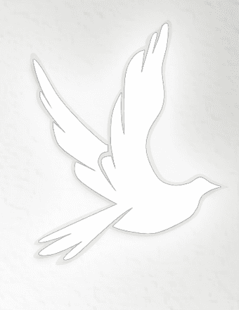 Johonna Carpenter Obituary